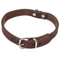 Beeztees BZ COLLIER EN CUIR MARRON 62X25 (Chien, Général)