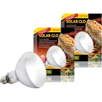 Exo Terra Solar Glo Sun Simulating Bulb Clair 125W