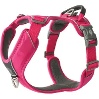 Dog Copenhagen Comfort Walk Pro Harness - Wild Rose - XL