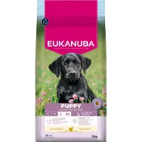 Eukanuba Croquettes pour chiots de grande race au poulet 15 kg