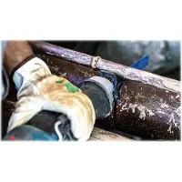 Bosch Expert S1155chc Saber Saw Blade Bleu