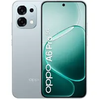 OPPO A6 Pro 5G 16,7 cm (6.57") Double SIM Android 15 USB Type-C 8 Go 256 Go 6500 mAh Titane
