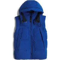 G-Star Whistler Padded Hooded 2.0 Vest Bleu 2XL Homme