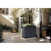 Westmann Plexa Lit surélevé en métal avec espace de rangement avec bordure en escargot Anthracite