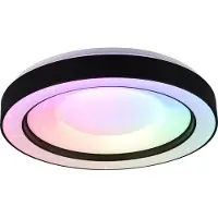REALITY IMPORT Plafonnier LED rond ARCO noir 22 W, nuances de blanc, 2500 lm, plastique, dimensions : 8 x 49 x 49 cm, IP20, RL