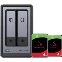 UGREEN NASync DXP2800 + Seagate Ironwolf 4 To Lot de 2