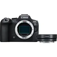 Canon EOS R6 Mark II + EF-EOS R Adaptateur