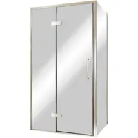 Balmani Senses Design douche en coin avec porte pivotante à gauche et paroi latérale fixe, 100 x 100 cm, Miroir Reflex, Profil Brushed CoolMetal,