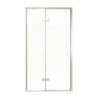 Balmani Senses Design porte pivotante à gauche 120 cm x 210 cm verre transparent, Profil Brushed CoolMetal
