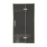 Balmani Senses Design porte pivotante à droite 120 cm x 210 cm verre fumé, Profil Brushed CoolMetal, coating inclus