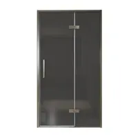 Balmani Senses Design porte pivotante à droite 120 cm x 210 cm verre fumé, Profil Brushed GunMetal, coating inclus