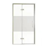 Balmani Senses Design porte pivotante à gauche 120 cm x 210 cm verre transparent avec bande matte, Profil Brushed CoolMetal, coating inclus
