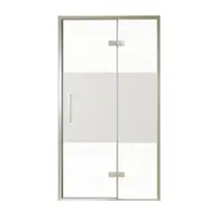 Balmani Senses Design porte pivotante à droite 120 cm x 210 cm verre transparent avec bande matte, Profil Brushed CoolMetal, coating inclus