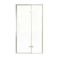 Balmani Senses Design porte pivotante à droite 120 cm x 210 cm verre transparent, Profil Brushed CoolMetal, coating inclus