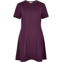 Apricot Robe ' ' violet