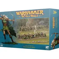 Games Workshop Warhammer ToW - Royaumes Elfes Sylvains : Gardes Sylvains (Matières plastiques)