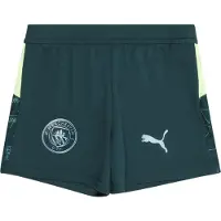 Puma Pantalon de sport 'Manchester City 25/26' vert clair / vert foncé / blanc