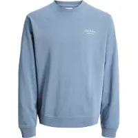 Jack & jones Junior Sweat 'JJEARCHIVE' opal