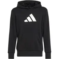 Adidas Sweat de sport 'LOGO GRAPHIC HOODIE' noir / blanc