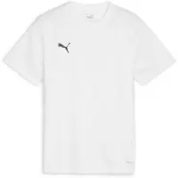 Puma Garçons, T-shirt de sport, teamGOAL Jersey Jr (128), Blanc, 128