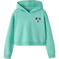 Name it Sweat-shirt 'NKFTARA' menthe / rose / noir / blanc