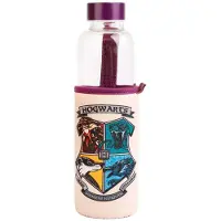 Harry Potter Gourde En Verre Blason Poudlard De 500ml Violet