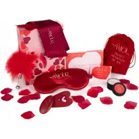 Dream Toys Amour The Secrets Of Love Panty Play Kit set d’accessoires érotiques 7 pcs