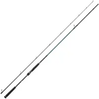 Daiwa Canne Spinning Caldia Seabass Standard Ii