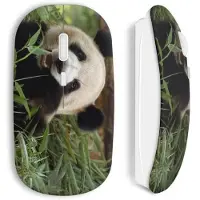 MANIACASE Souris sans fil - - Panda Cute - Clé USB wifi incluse - Compatible Mac et PC - Blanc