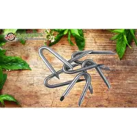Aquagart 3 kg de crampons, boucles métalliques, clôture de protection contre la faune sauvage, clôture forestière, clôture