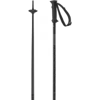 Salomon Bâtons Polar Access