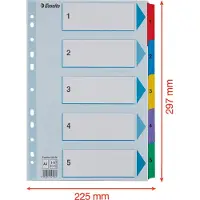 Esselte Karton-Register Mylar, verschiedene Ausführungen, einzeln