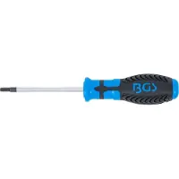 Bgs Tournevis profil T (pour Torx) avec perçage T20 longueur de la lame 80 mm