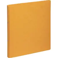 Pagna 44096-05 Classeur à anneaux (A4, 23 mm, 1 pcs)