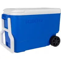 Igloo 36 l