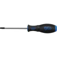 Bgs Tournevis profil T (pour Torx) avec perçage T30 longueur de la lame 100 mm (Section en T)