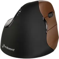 Evoluent Bakker Elkuizen BNEEVR4SW souris Evoluent 4 VerticalMouse kl r wireless retail