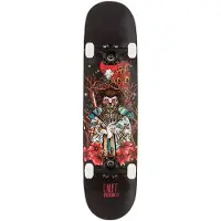 Enuff Skateboards Skateboard Nihon 7.75´´