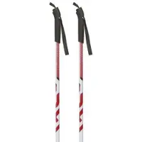 Masters Xcjr Poles Argenté 110 cm
