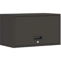 vidaXL Armoire murale pour le garage avec porte à vérin à gaz noir