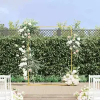 vidaXL Arche de mariage Doré 150 x 45.9 x 200 cm Acier