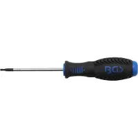 Bgs Tournevis Torx - T10