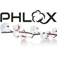 PHLOX Drap-housse - 100 % coton satiné (300 fils au pouce carré) - Double 160 x 200 cm - Doux et agréable au toucher - Élastique sur tout le pourtour - Blanc