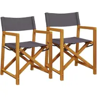 vidaXL Chaises de régie pliantes 2 pcs. Tissu gris foncé
