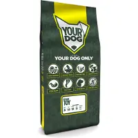 Yourdog Russian Toy Volwassen