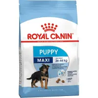 Royal Canin chien maxi junior chien 4 kg