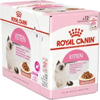 Royal Canin Kitten Jelly 85g Wet Cat Food Multicolore