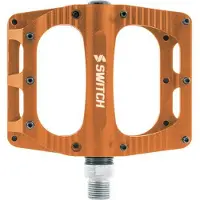 Nintendo Switch Freeride Pedals Doré