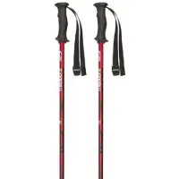 Masters Bâtons Rental Carbon