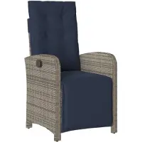 vidaXL Fauteuil de jardin avec repose-pieds Réglable Gris Poly Rattan